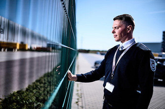 Fence sensors from the CIBORIUS Group Fence sensors from the CIBORIUS Group