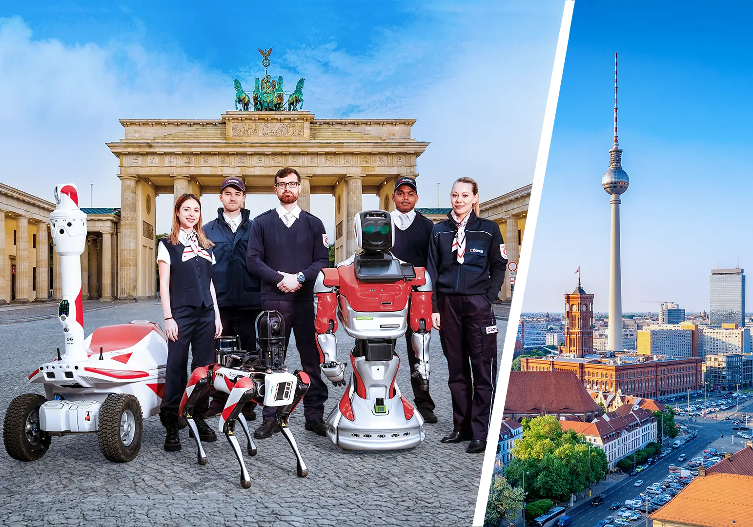 CIBORIUS Security NSL